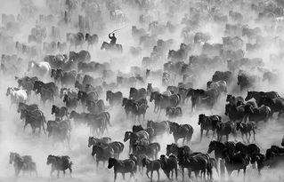 改革開放 為梧州文藝與企業形象策劃開啟新紀元